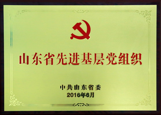 泰安市中心医院党委荣获"山东省先进基层党组织"称号