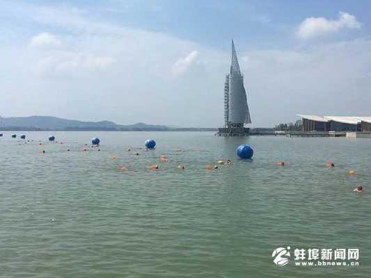 蚌埠市冬泳协会开展畅游龙子湖活动
